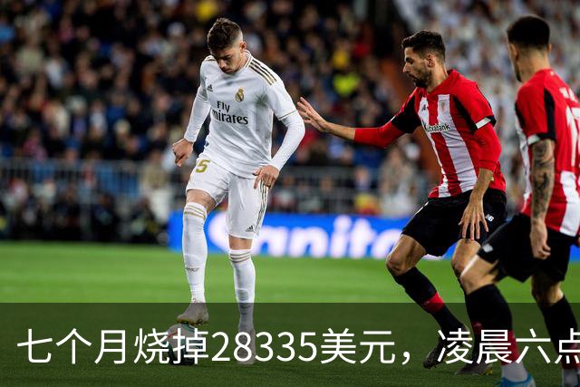 七个月烧掉28335美元，凌晨六点前的工具调用只有0.7%