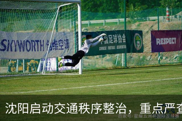 沈阳启动交通秩序整治，重点严查违停、电动车违法